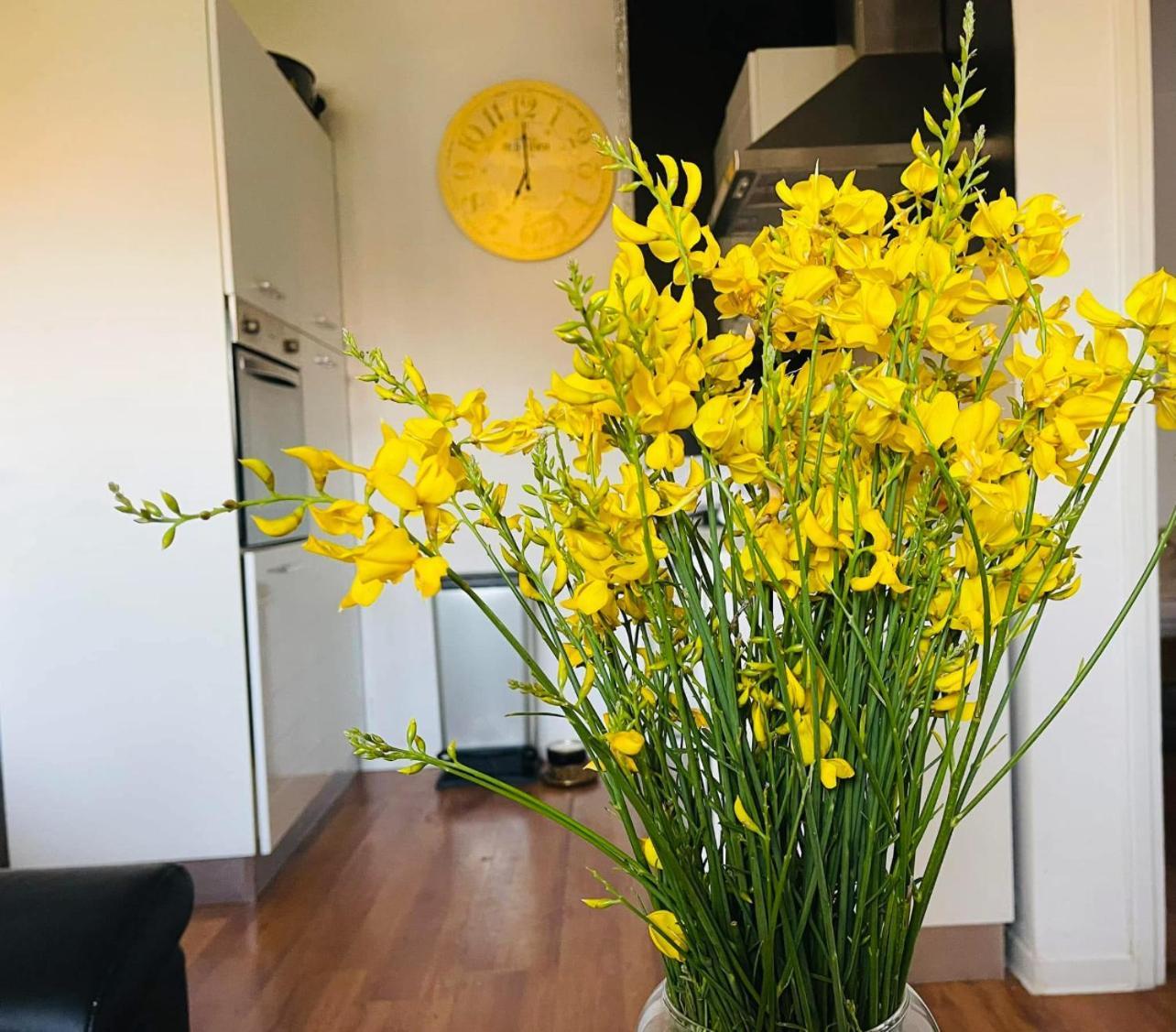 Apartments Esperanza Pašman Екстериор снимка